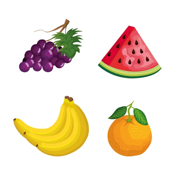 Conjunto de frutas deliciosas y frescas nutrición — Vector de stock