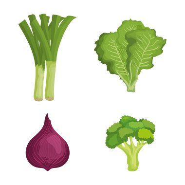 sağlıklı beslenme ile taze sebze seti