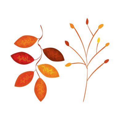 doğa dalları kümesi bitkiler bırakır