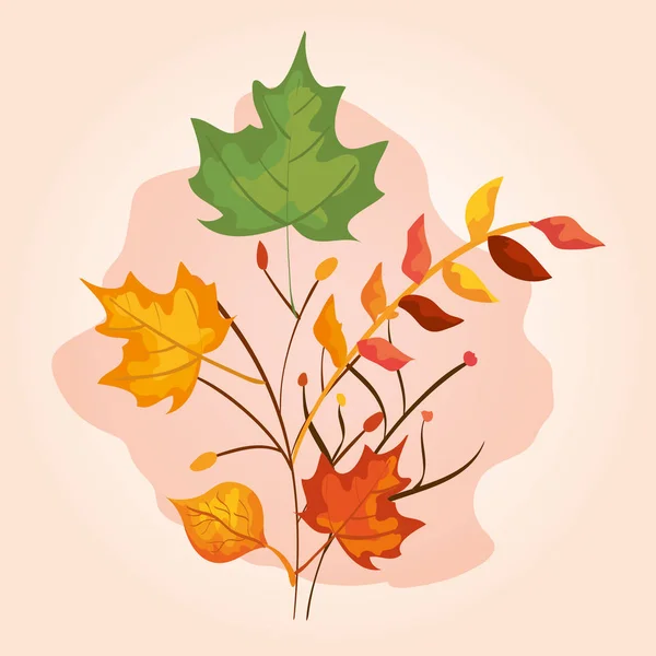 Autumn season with nature branches plants and leaves — Stock Vector
