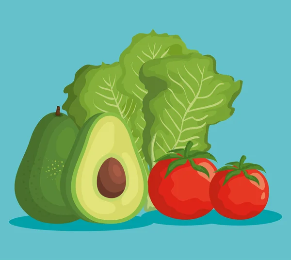 Lechuga y tomates verduras con fruta de aguacate — Vector de stock