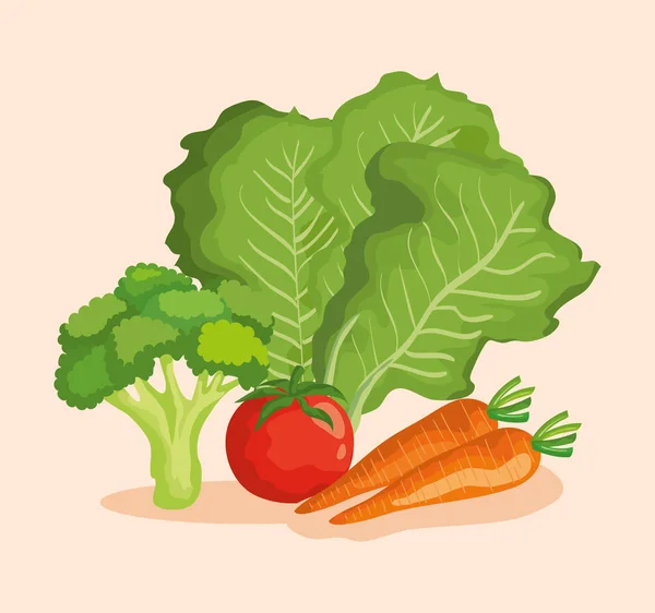 Verduras saludables nutrición orgánica fresca — Vector de stock