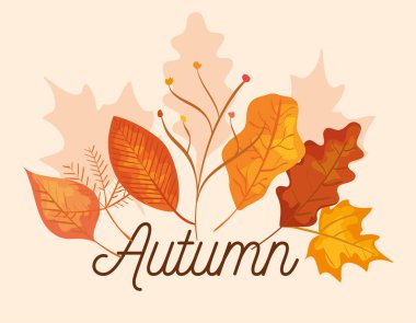 sonbahar mevsimine yapraklı doğa dalları bitkiler