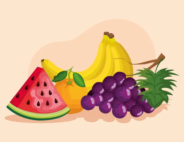 Frutas deliciosas y frescas nutrición saludable — Vector de stock