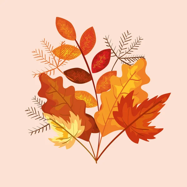 가을 가지 식물과 자연 잎 — 스톡 벡터