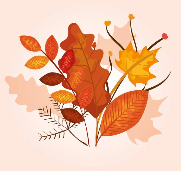 Temporada de otoño con hojas y ramas plantas decoración — Vector de stock