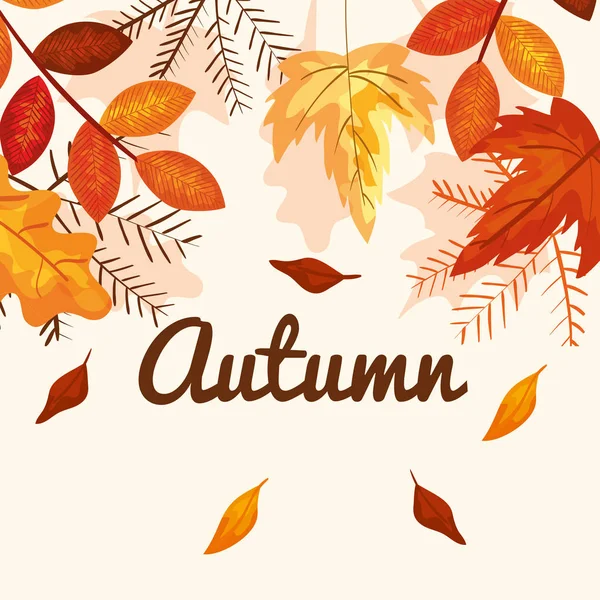 Folhas e ramos plantas para estação de outono — Vetor de Stock