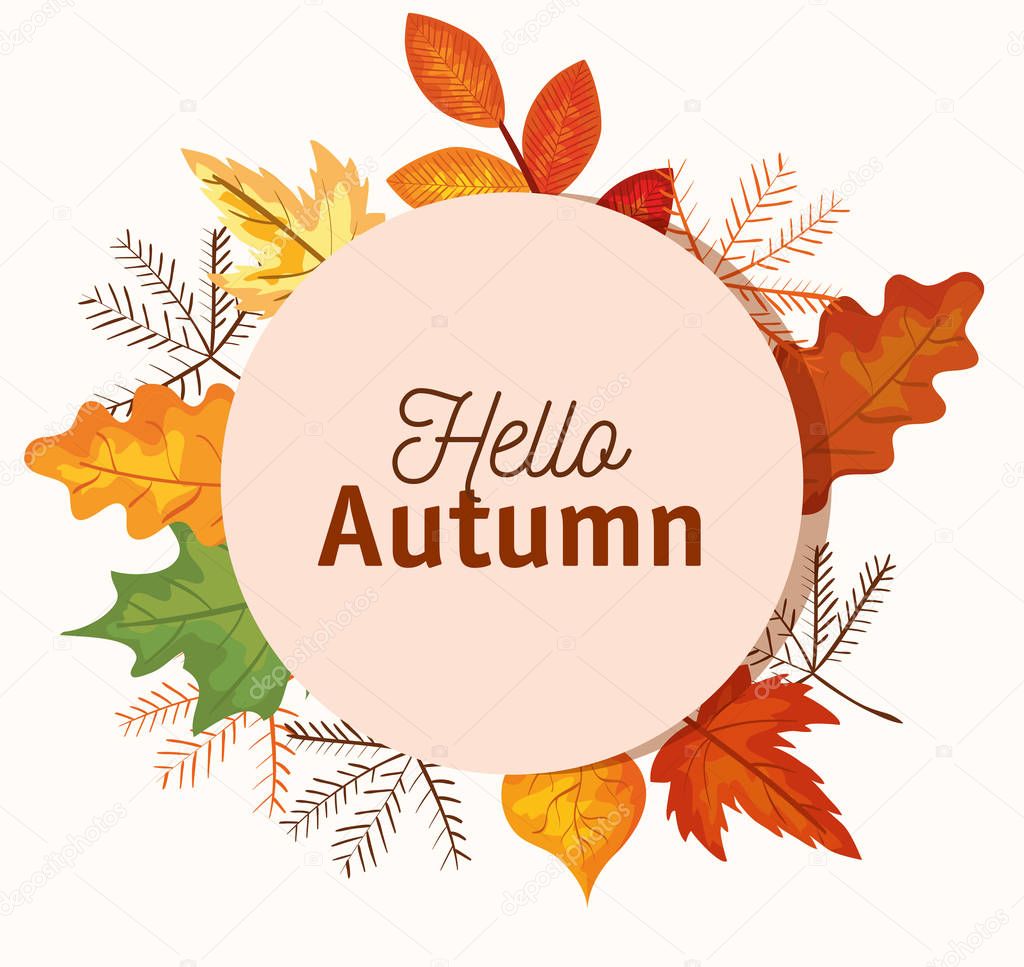 hello autumn label with leaves and plants