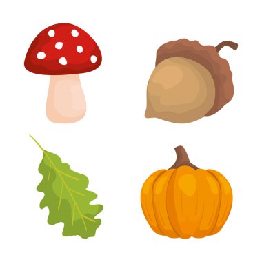 kabak ile fındık ve yaprak ile doğa mantar seti