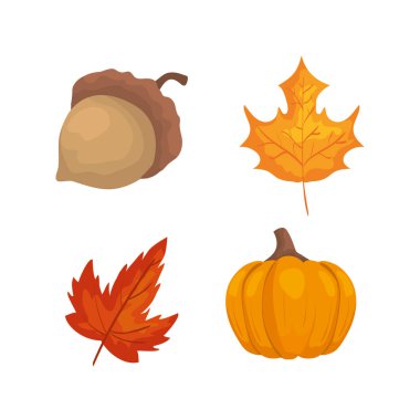 yaprak bitkiler ile fındık ve kabak seti