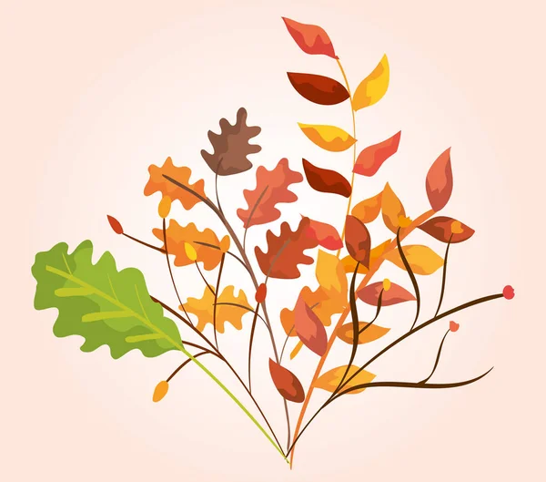 Ramas hojas plantas a la temporada de otoño — Vector de stock