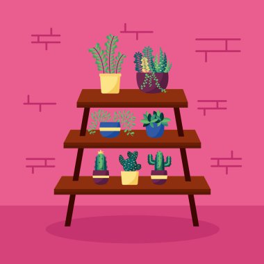 dekoratif ev bitkileri iç tasarım