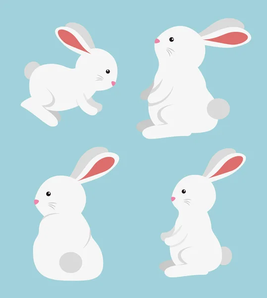 Set of rabbit cute wild animal — Stock Vector