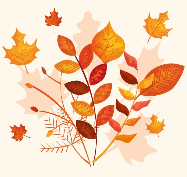 Autumn season with branches plants and leaves — Stock Vector