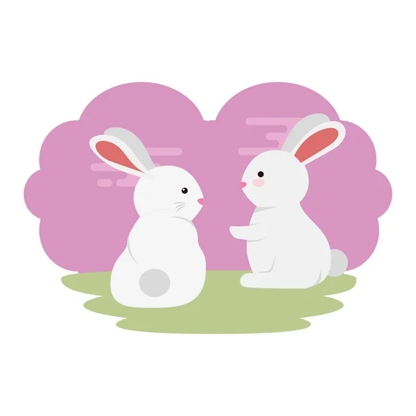 Cute and little rabbits couple in grass characters — Stock Vector