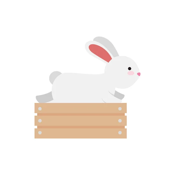 Cute and little rabbit in wooden box character — Stock Vector