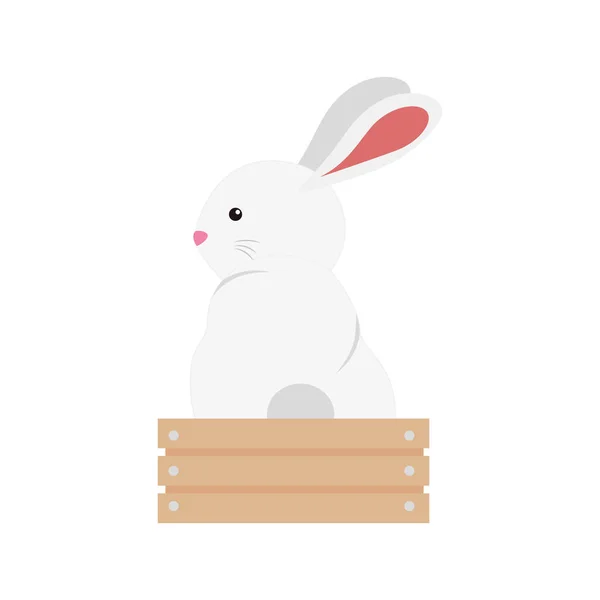 Bonito e pouco coelho em caixa de madeira personagem —  Vetores de Stock