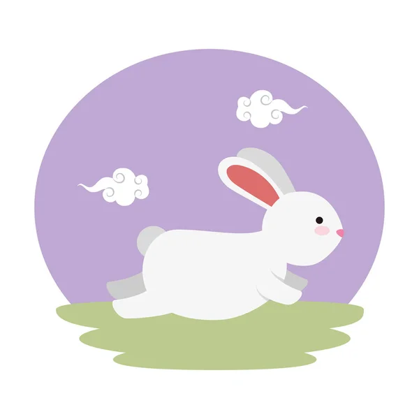 Cute and little rabbit in the field character — Stock Vector