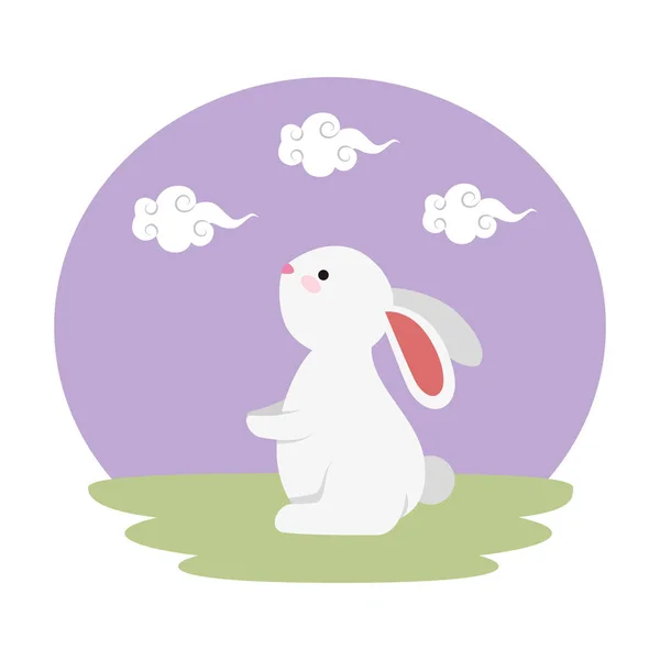 Alan karakteri sevimli ve küçük tavşan — Stok Vektör