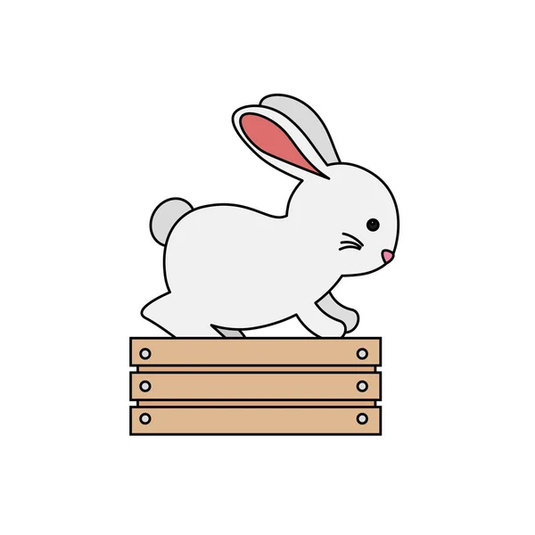 Bonito e pouco coelho em caixa de madeira personagem — Vetor de Stock