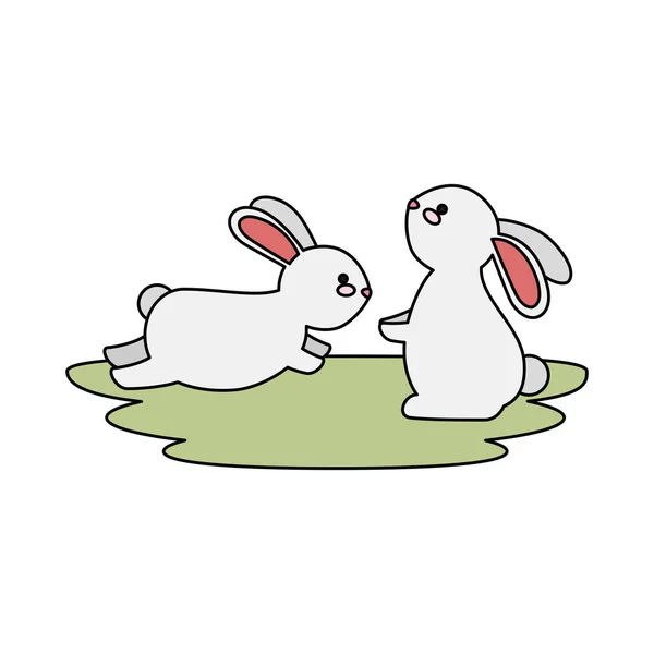 Cute and little rabbits couple in grass characters — Stock Vector
