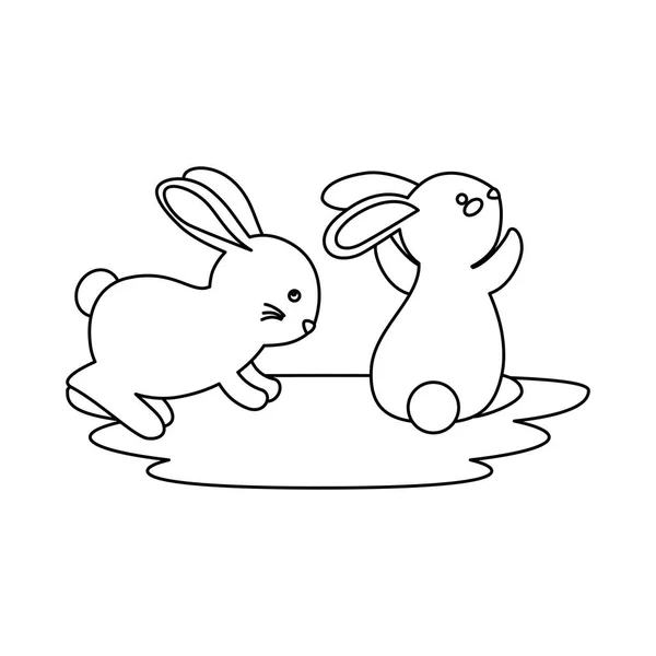 Cute and little rabbits couple characters — Stock Vector