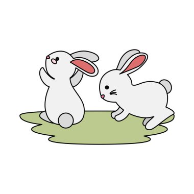 cute and little rabbits couple in grass characters