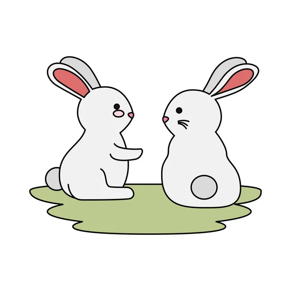 Cute and little rabbits couple in grass characters — Stock Vector