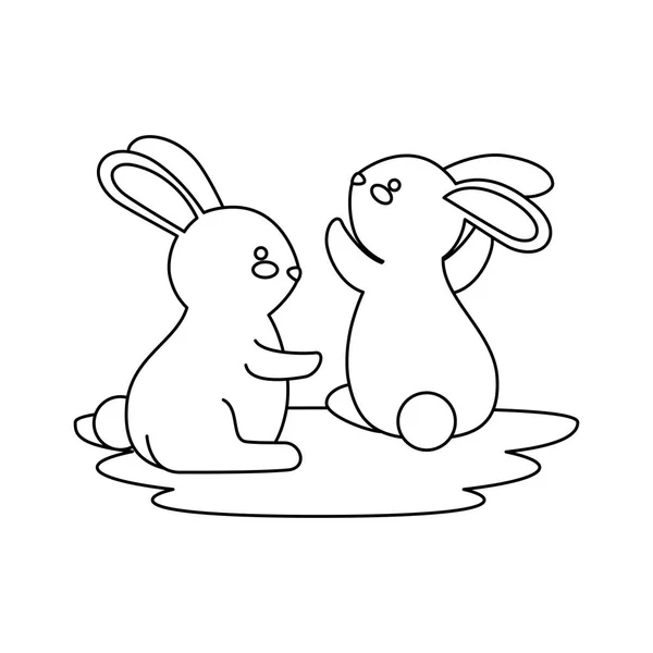 Cute and little rabbits couple characters — Stock Vector