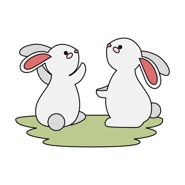 Cute and little rabbits couple in grass characters — Stock Vector