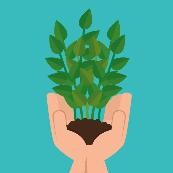 Mains avec la nature plantes et feuilles avec le sol — Image vectorielle