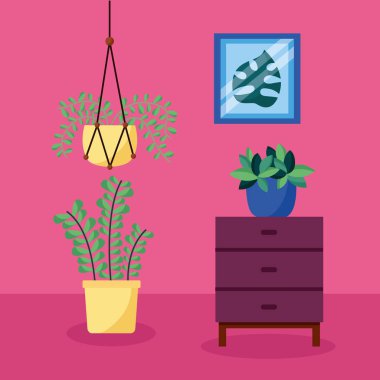 dekoratif ev bitkileri iç tasarım