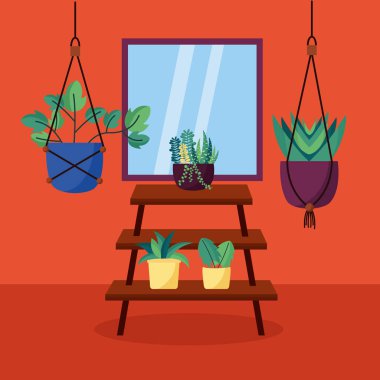 dekoratif ev bitkileri iç tasarım