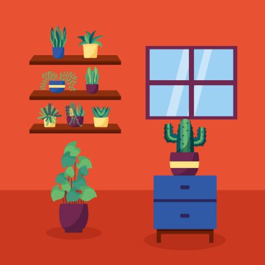 dekoratif ev bitkileri iç tasarım