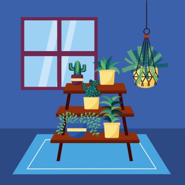 dekoratif ev bitkileri iç tasarım