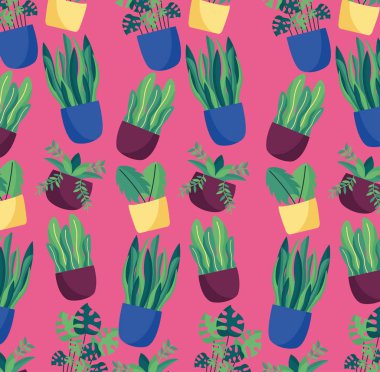 dekoratif ev bitkileri iç tasarım