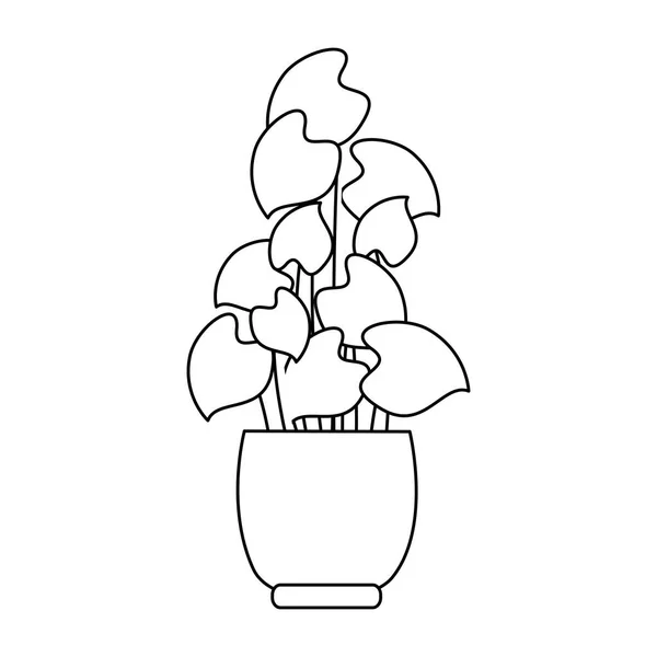 Planta aislada dentro del diseño del vector de maceta — Archivo Imágenes Vectoriales