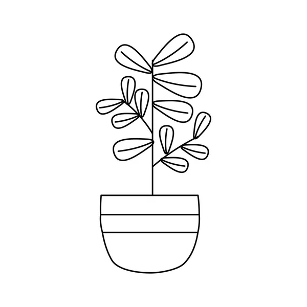 Planta aislada dentro del diseño del vector de maceta — Vector de stock