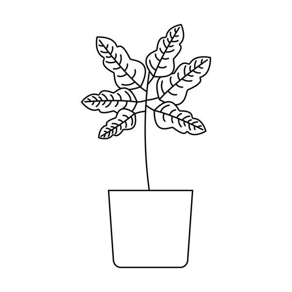 Isolierte Pflanze im Topfvektordesign — Stockvektor