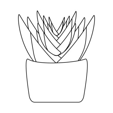 Ot vektör tasarımı içinde izole edilmiş bitki