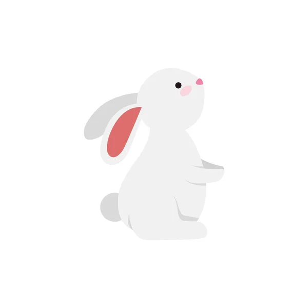 Cute and little rabbit character — Stock Vector