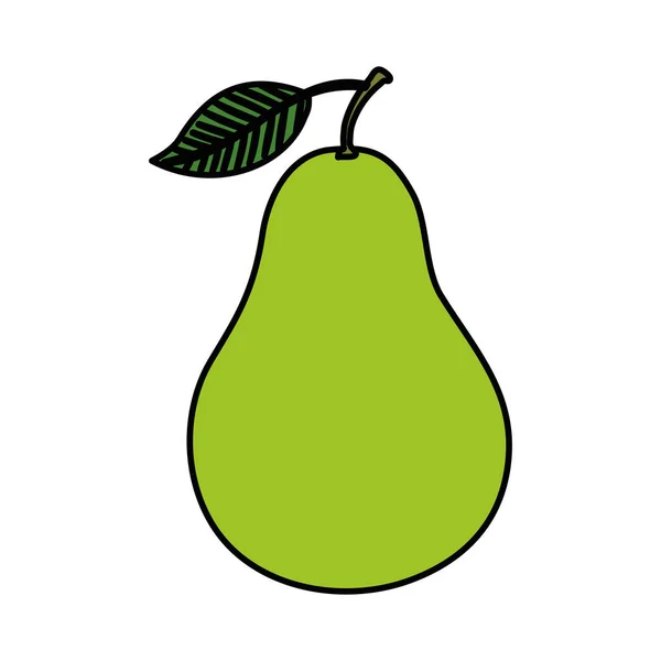 Vers peer fruit natuur icoon — Stockvector