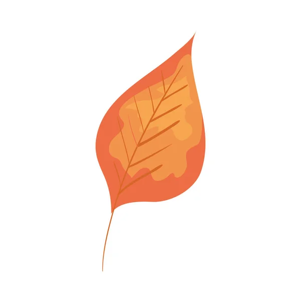 Herbst trockenes Blatt Natur-Ikone — Stockvektor