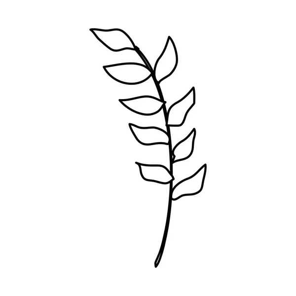 마른 잎 자연 아이콘가 있는 가을 가지 — 스톡 벡터