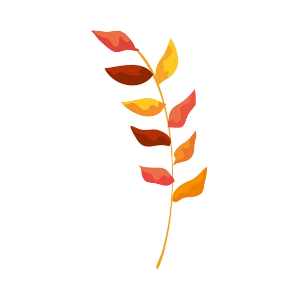 Herfst tak met droge Leafs natuur pictogram — Stockvector