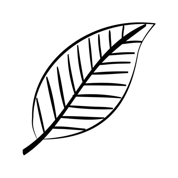 Ekologi blad växt isolerad ikon — Stock vektor