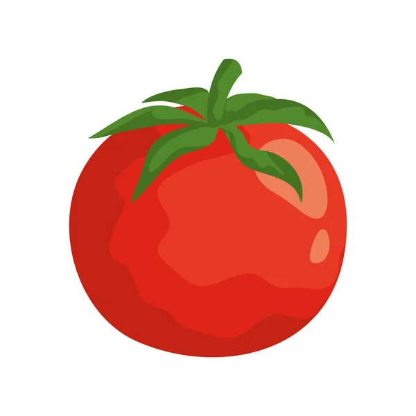 Fresh tomato vegetable nature icon — Stock Vector