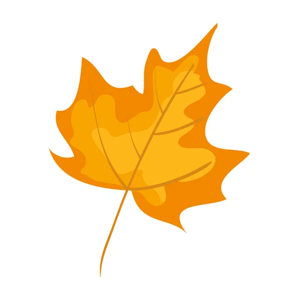 秋の乾燥したカエデの葉の自然アイコン — ストックベクタ