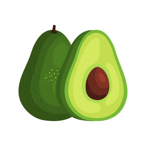 Fresh avocado vegetable nature icon — Stock Vector