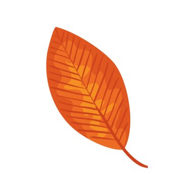 sonbahar kuru yaprak doğa simgesi